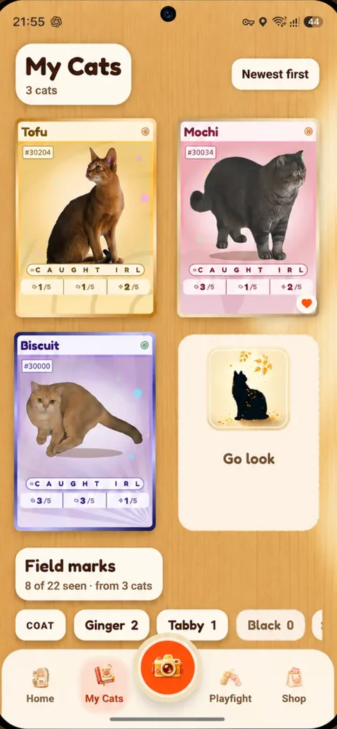 PoCats album of photographed cats printed as trading cards