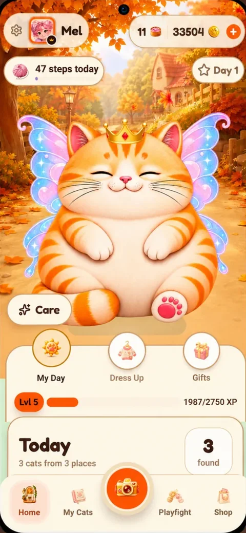 A PoCats pocket pal at home with its day and gifts
